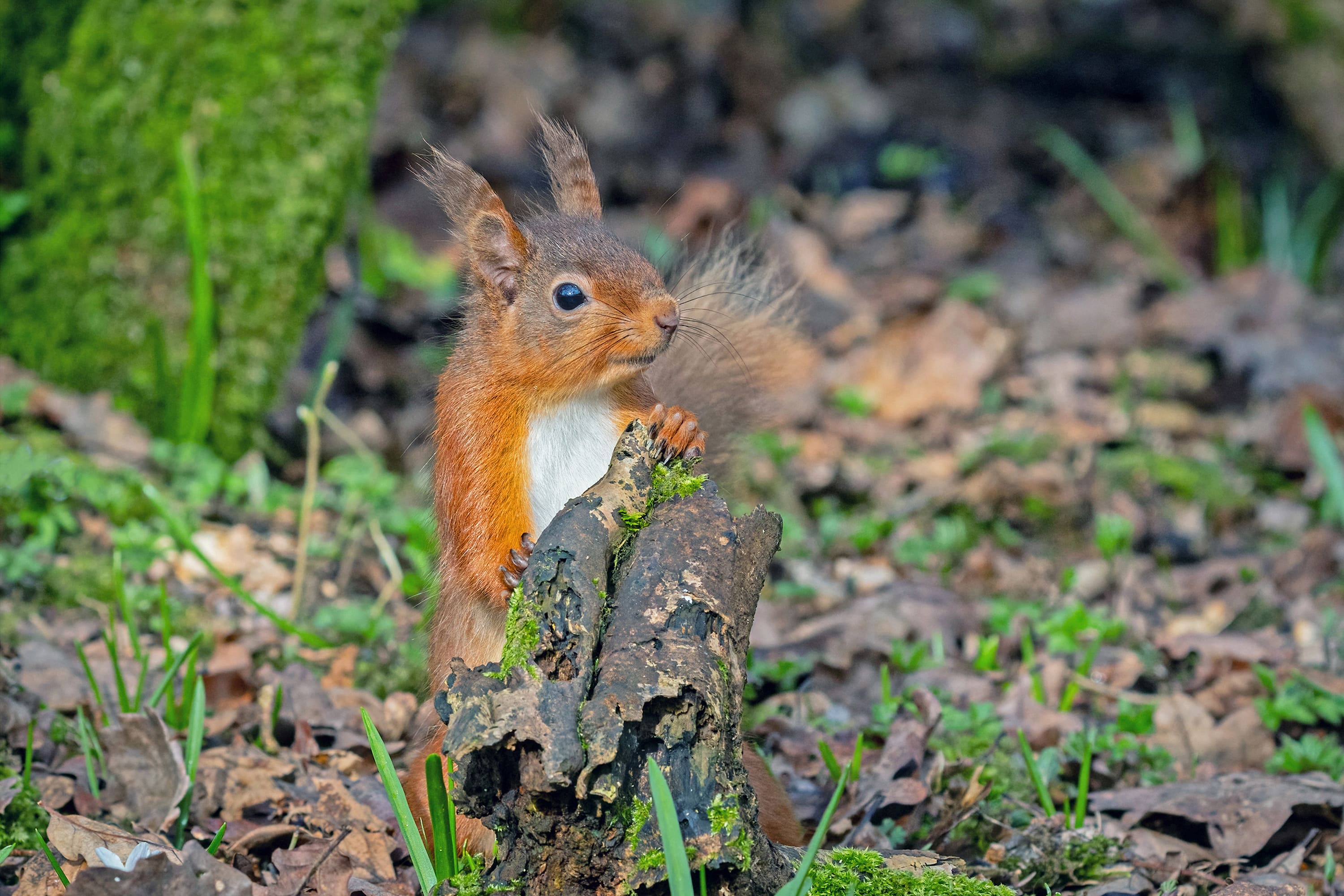 Keswick Photographic Society&#8217;s Annual Photography Exhibition
