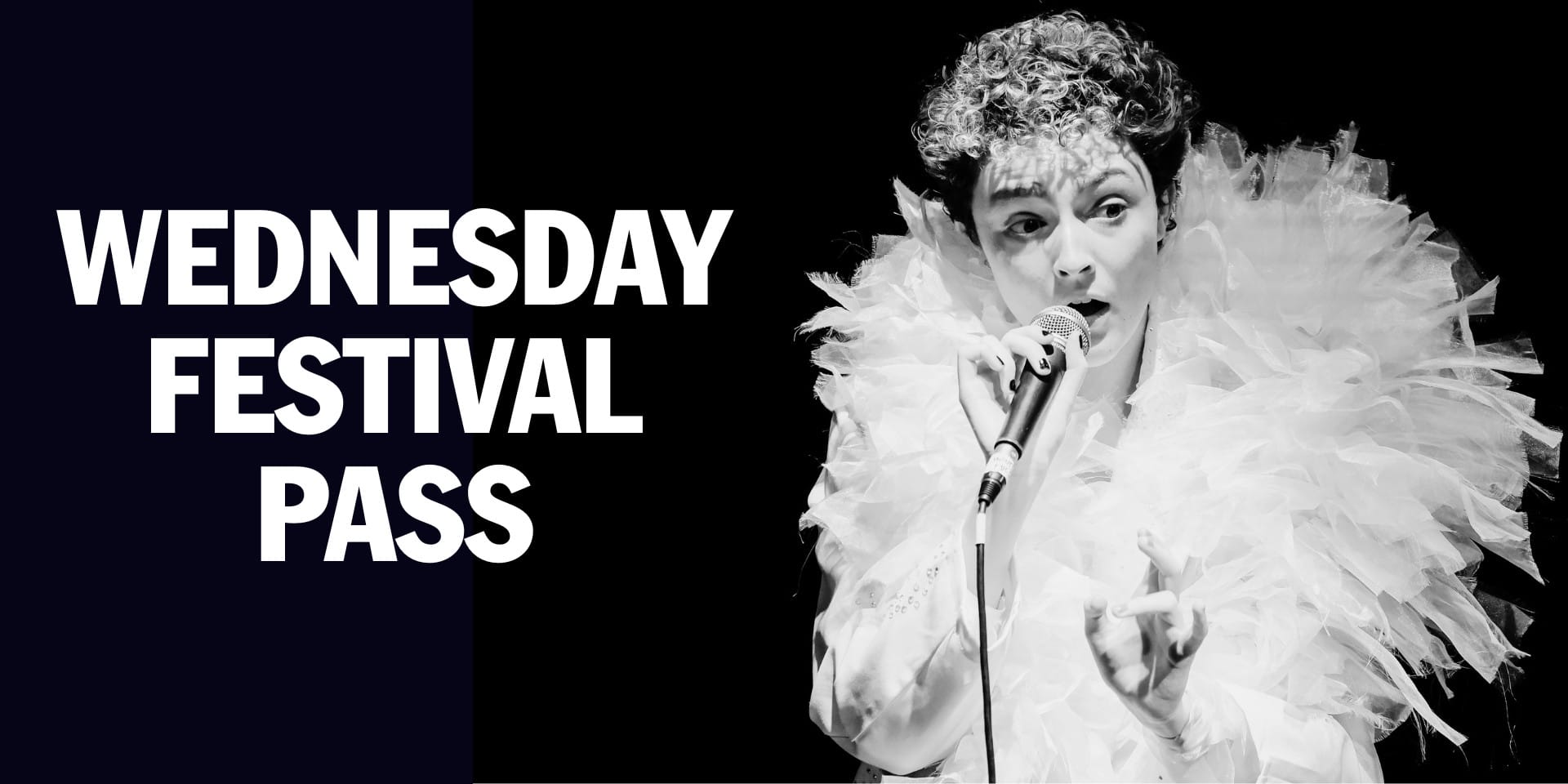 CumbriaFest Festival Pass – Wednesday